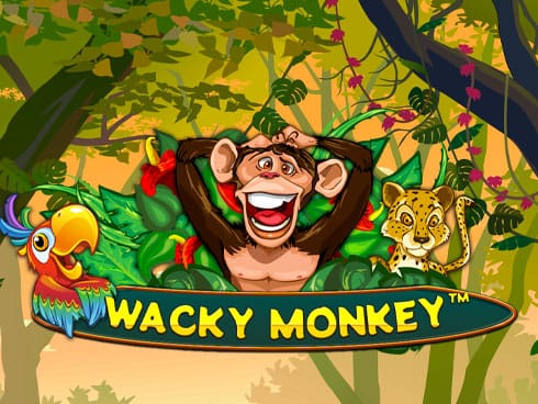 Wacky Monkey screenshot