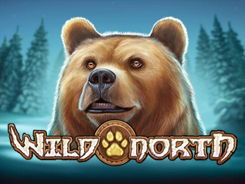 Wild North screenshot